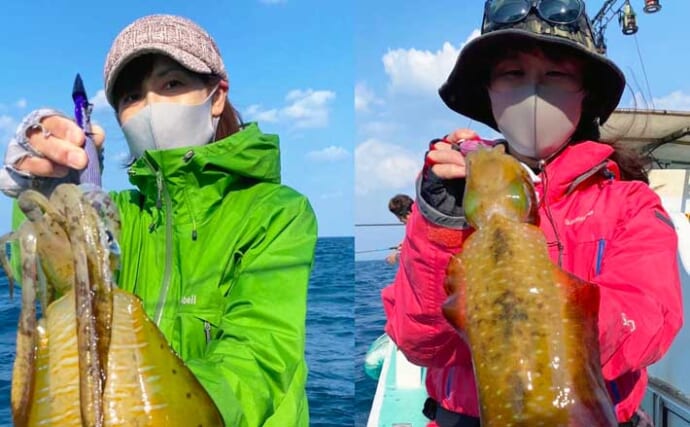 【福岡】沖のルアー最新釣果　ティップランエギングで良型アオリイカ登場