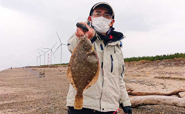 サーフ投げカレイ釣りで35cm本命キャッチ 房掛けより1匹掛けに好反応