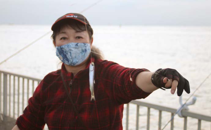 千葉港のサビキ釣りでイワシ34尾　夕マヅメに回遊スタートで入れ食い