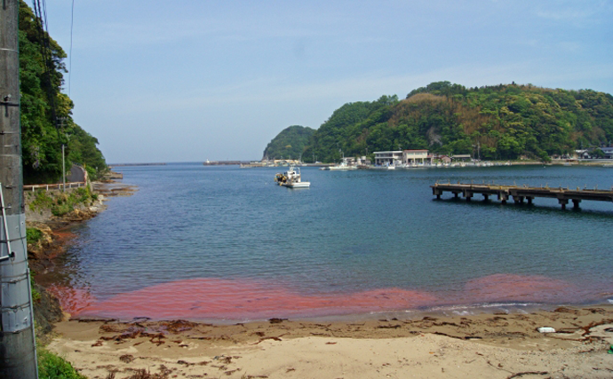 北海道の記録的赤潮の原因は「新発見のプランクトン」　低水温に強く厄介
