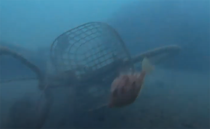 陸っぱりカワハギ釣りで本命6尾　【水中映像】活用した狙い撃ちが的中？