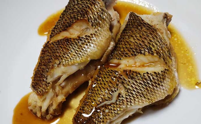ゲスト魚レシピ：「イトフエフキ」のステーキ　フレンチ風に様がわり？