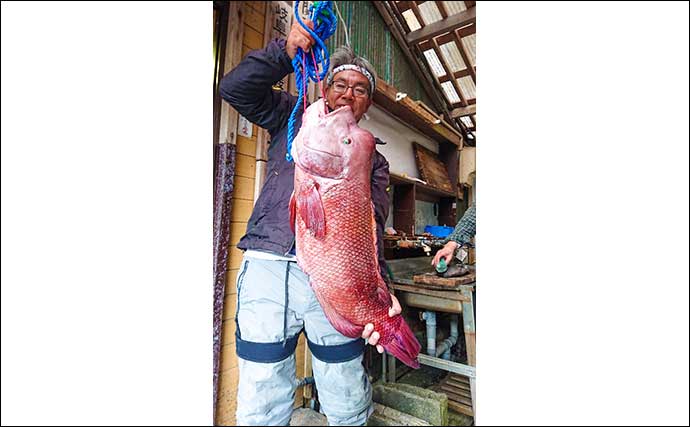 磯での底物釣りで本命イシダイ不発も84cm9.4kg特大カンダイを御用