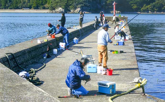 堤防での「投げサビキ釣り」でアジ85匹と爆釣　型は平均18cm