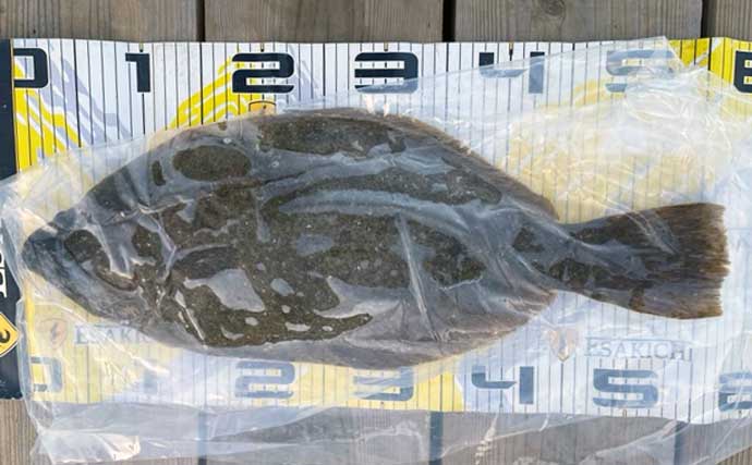 【三重】イカダ＆カセ最新釣果　カカリ釣りで47cm頭にクロダイ好調
