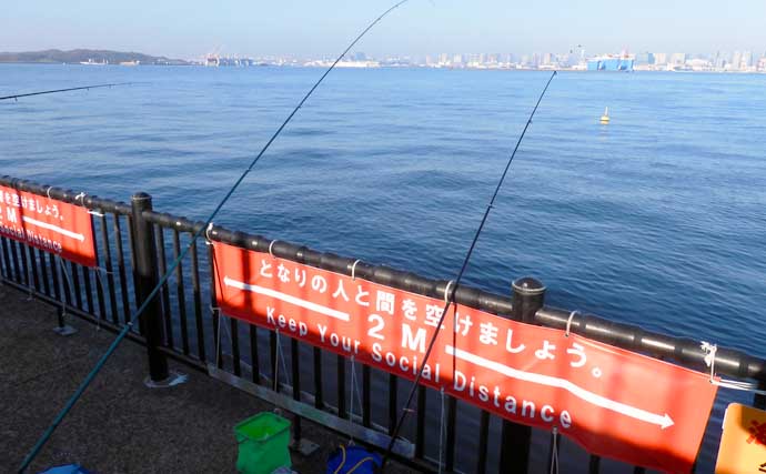 若洲海浜公園でサビキ釣り＆清掃活動　サッパをゲットしプラゴミを排除