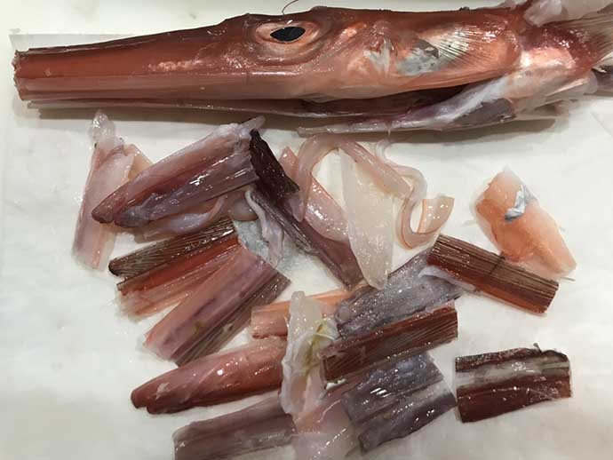 釣り人的「食品ロス」削減レシピ　アカヤガラの長いクチのカリカリ揚げ