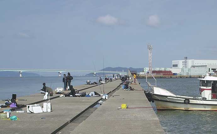 神戸の沖防波堤が立入禁止に　休業中の渡船店と行政の協議の行方は？
