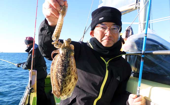 東京湾テンヤスミイカ釣りで船中全員安打　今後は1kg超モンゴウも期待