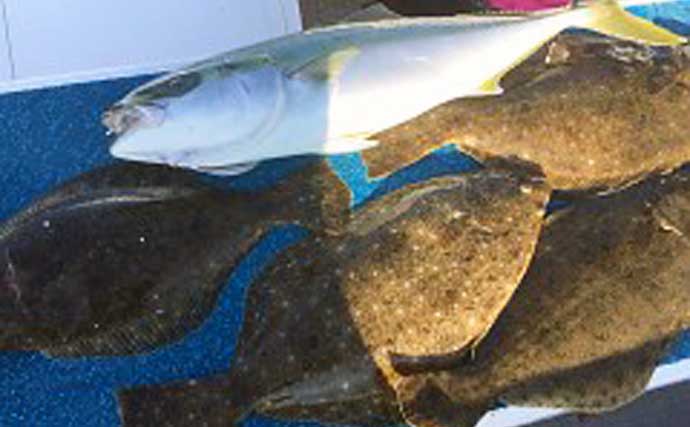【三重・愛知】沖のエサ釣り最新釣果　カサゴ釣りでメバル混じりで大漁