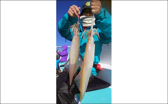 【2022関東】船ヤリイカ釣り入門解説　タックル・釣り方・釣況を紹介