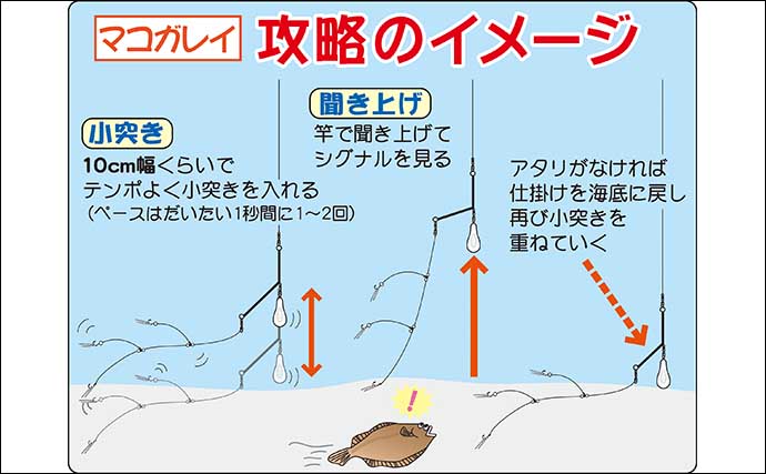 【2022東京湾】船カレイ釣り入門　タックル・釣り方・釣況を解説