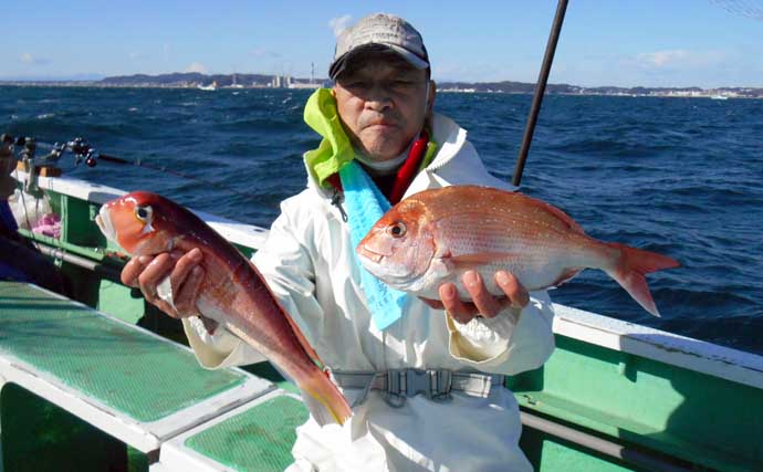 東京湾コマセマダイ釣りでイナダ連発　マダイはトップ2尾で復調の兆し？