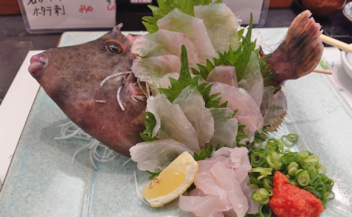 Jr西日本がカワハギの養殖事業をスタート 狙いは 年中肝パン Tsurinews