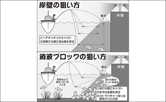 【2022】アジ＆根魚狙い夜ルアー船の楽しみ方　タックル・釣り方・釣況