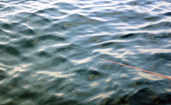春イサキを船からフカセ釣りで狙う方法 【道具・仕掛け・釣り方】