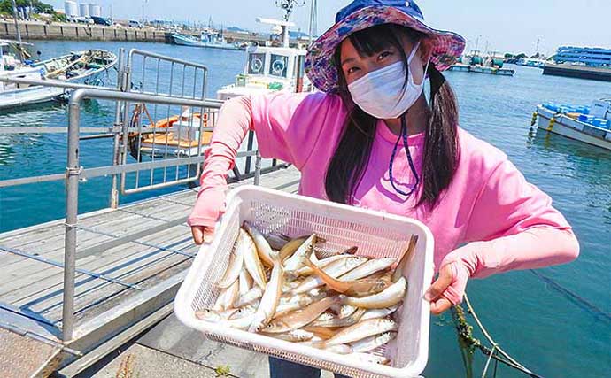東京湾の船キス釣り入門　【生態・釣り方・アタリ（魚信）を解説】