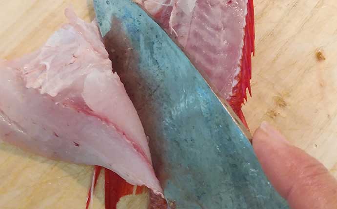 ゲスト魚レシピ：『マツカサ』の刺身　２列ある特殊な中骨処理にご注意