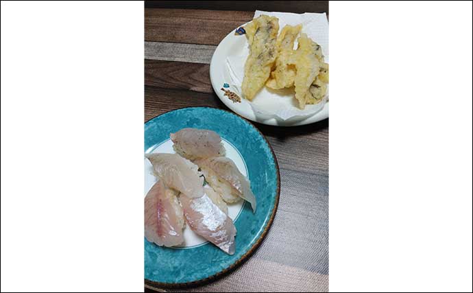釣魚レシピ：スズキの握り寿司　天ぷらとお吸い物添えれば贅沢コースに