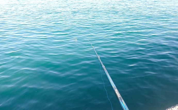 堤防フカセ釣りで37cm本命クロダイ手中　冬は午後帯が狙い目？