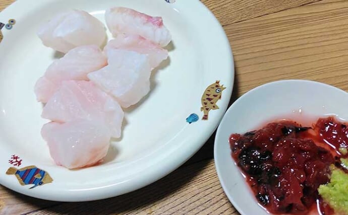 釣魚レシピ：オオモンハタの霜降り　熟成魚の食感を再生させる方法とは？