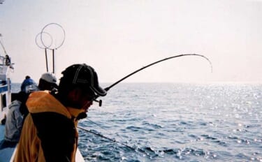 船釣り超入門　代表的な『魚信(アタリ)』と釣り人の感度について解説