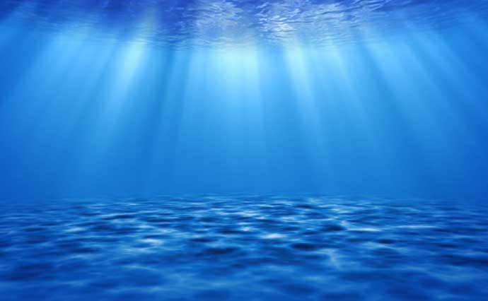 意外と知らない海の生き物のコト　深海生物が水圧で潰れない理由とは？