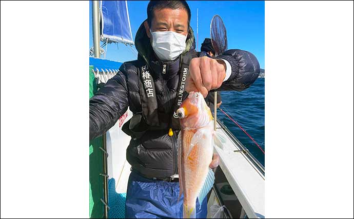 カイワリ五目釣りで釣果多彩　アヤメカサゴやキダイでお土産充実