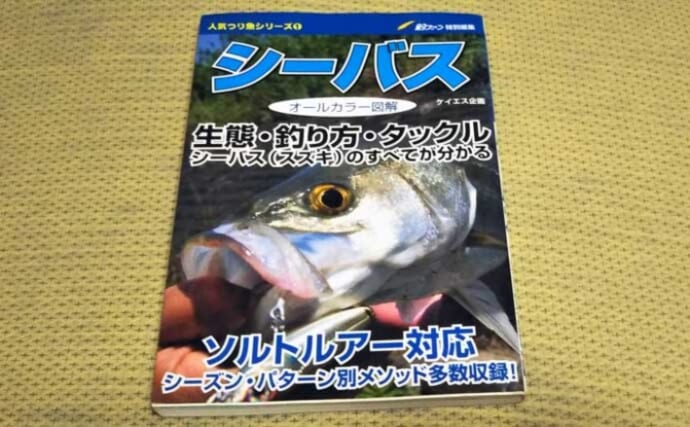 釣果をあげづらい厳冬期こそ学びたい【シーバス釣りの教科書3選】