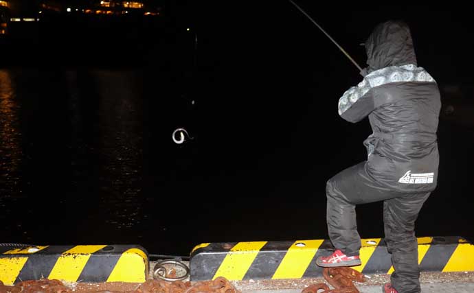 【2022年】堤防から狙う冬のアナゴ釣り解説　タックル・釣り方・捌き方