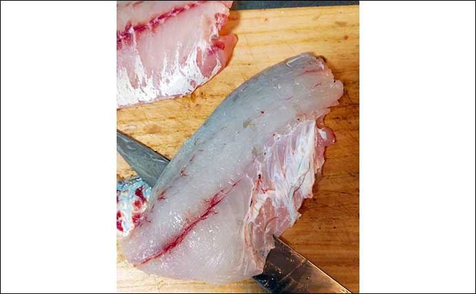 釣魚レシピ：チヌのライト昆布締め　〆時間は5～6時間でOK