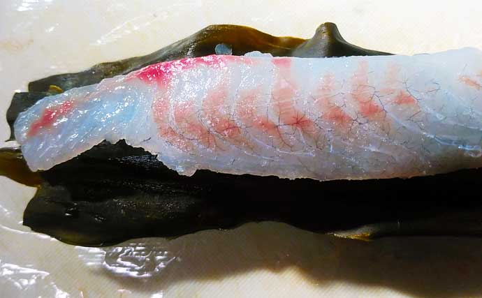 釣魚レシピ：チヌのライト昆布締め　〆時間は5～6時間でOK