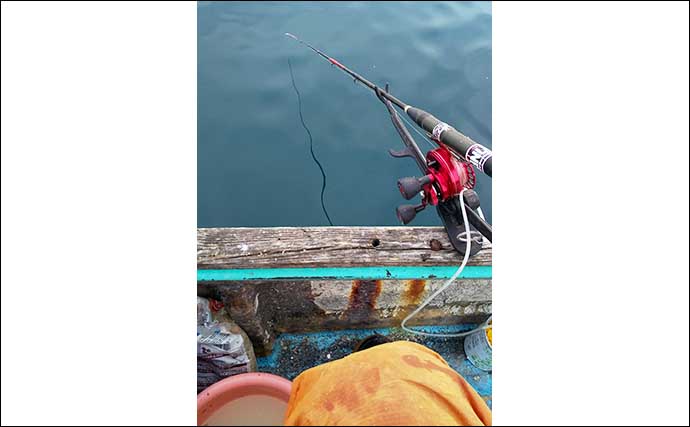 厳寒期のカカリ釣りで真鯛2匹にチヌ3匹の好釣果　くやしい良型バラシも