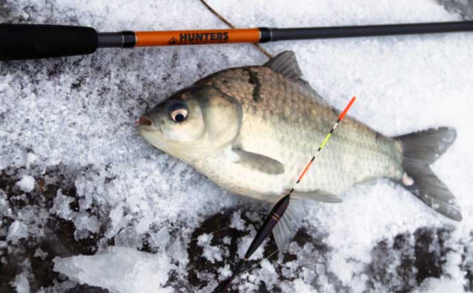 冬でも気軽に楽しい淡水小物釣り入門　釣果につながるエサの付け方とは？
