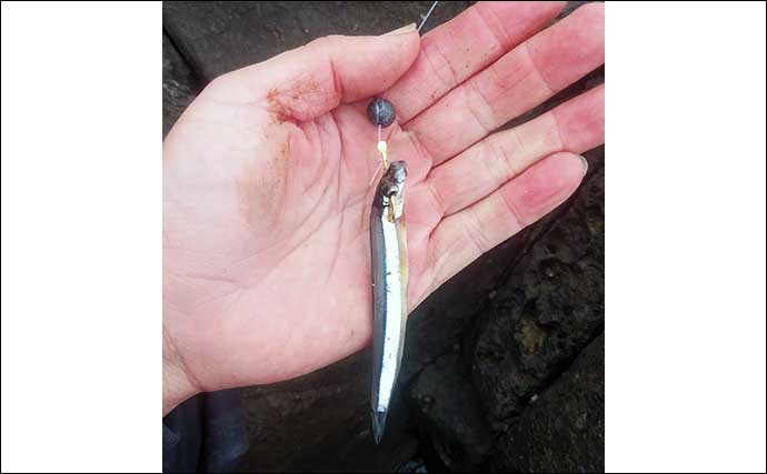 キビナゴエサのフカセ釣りでアカハタを狙う方法　食い渋り時の対策も公開