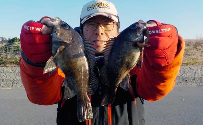 豊浜新堤で胴つきメバル釣り　一瞬の時合い逃さず25cm頭に4匹手中