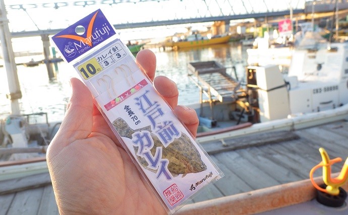 東京湾『船マコガレイ釣り』で45cm大判カレイ浮上　置きザオで狙う
