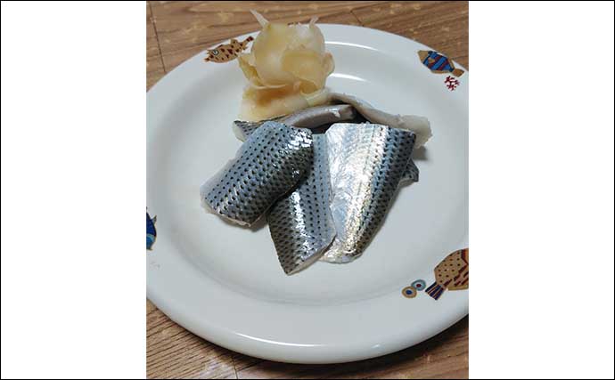 釣り人的『時短レシピ』：コノシロの簡単酢締め　塩締めを省略化？