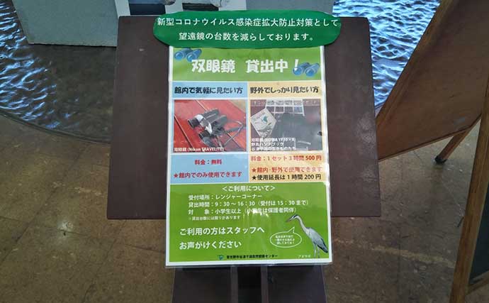 東京湾最奥のオアシス『谷津干潟』　生物の楽園に迫る環境変化とは？