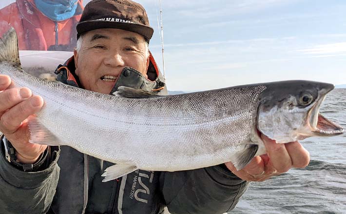 琵琶湖のビワマストローリングで51cm頭に本命9匹 脂ノリもばっちり
