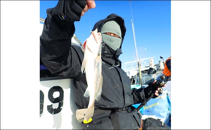 東京湾の船イシモチ釣りで30cm筆頭にトップ168尾　ゲストにアジサバ