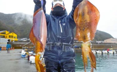 【三重】沖釣り最新釣果　早くも2kg級の大型「春アオリイカ」浮上