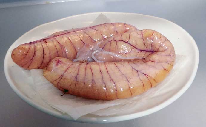釣り人的「珍味レシピ」：魚卵のカラスミ　ボラ以外の魚でも作成可能？