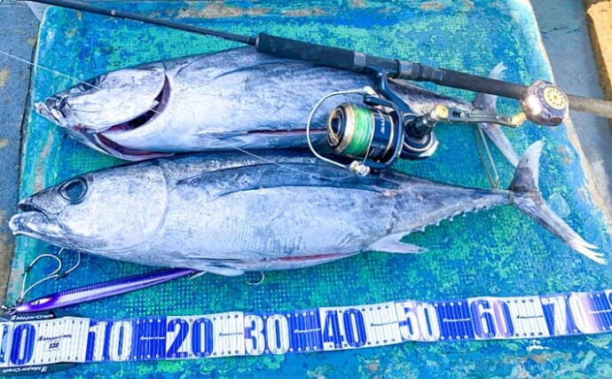志摩沖トンジギで10kg級「小トン」2匹　数釣りシーズン到来か