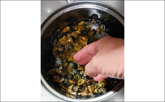 釣り人的ゲスト魚介レシピ：『亀の手』のみそ汁　不漁時の強い味方？