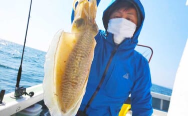 【愛知】沖釣り最新釣果情報　エギングでコウイカ爆乗りトップ8匹