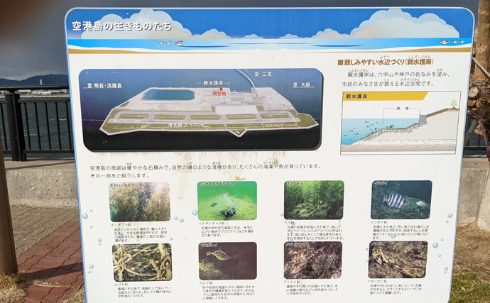日本でも広まりを見せる『ブルーカーボン』運動　各地で「藻場」が拡大？