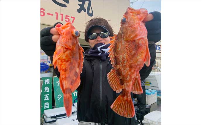 【2022年】「泳がせ根魚五目釣り」入門　タックル・仕掛け・釣り方