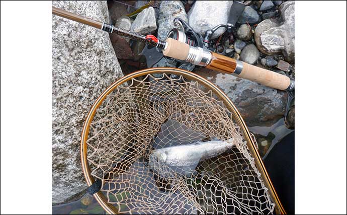 渓流ルアー釣りで21cm頭にアマゴ4匹　低水温で底狙いが正解か