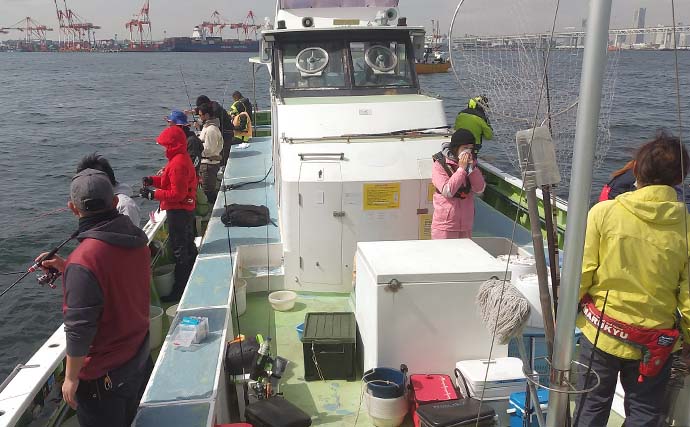 東京湾バチコンアジング釣行を満喫　午前＆午後船連戦で試行錯誤